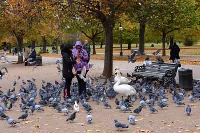 DSC_0631 (Large).JPG